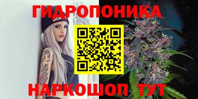PSILOCYBIN Сланцы