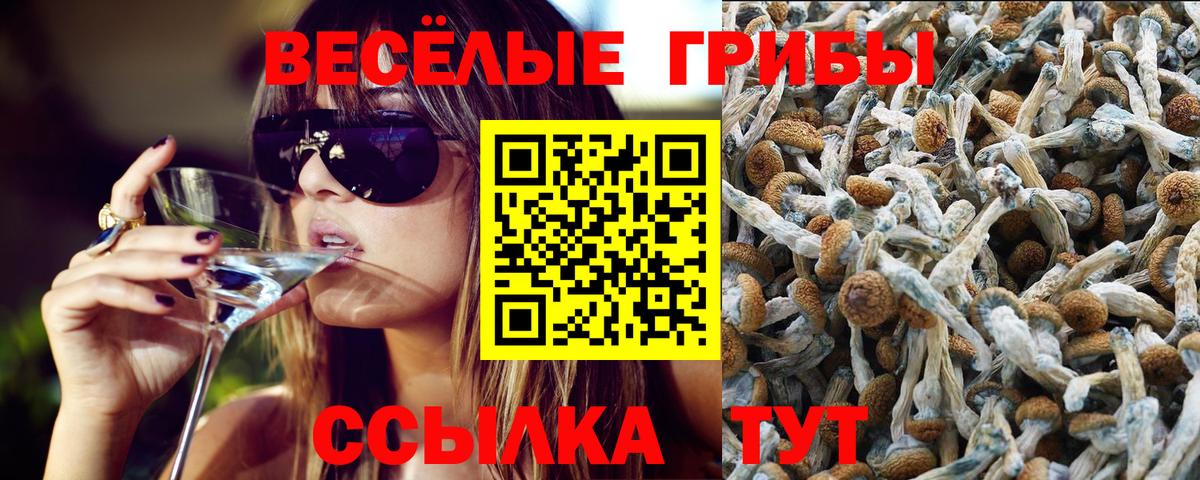 Псилоцибиновые грибы Magic Shrooms  наркотики  Рязань  Вход с VPN 