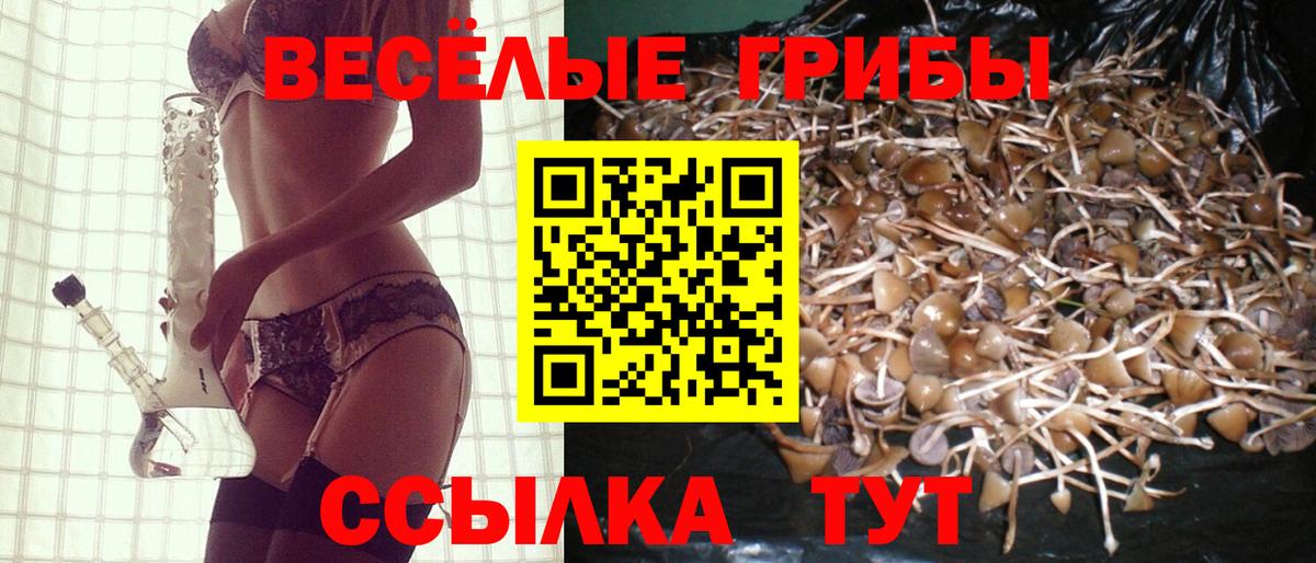 Псилоцибиновые грибы мухоморы Рязань