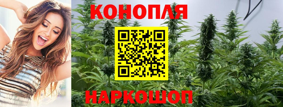 Каннабис SATIVA & INDICA Рязань